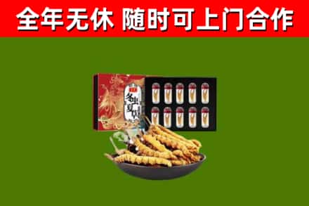 卧龙烟酒回收冬虫夏草礼盒.jpg